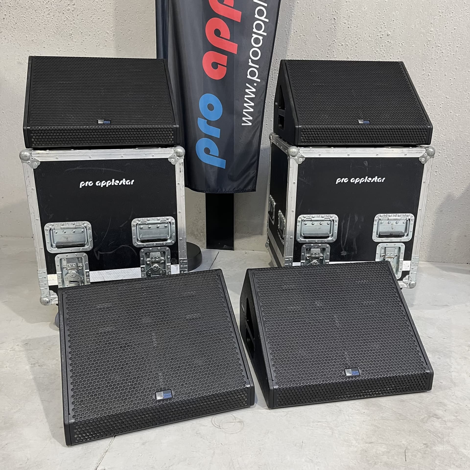 Meyer Sound MJF-210 stage monitor
